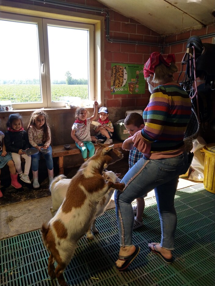 Uitstap naar de boerderij