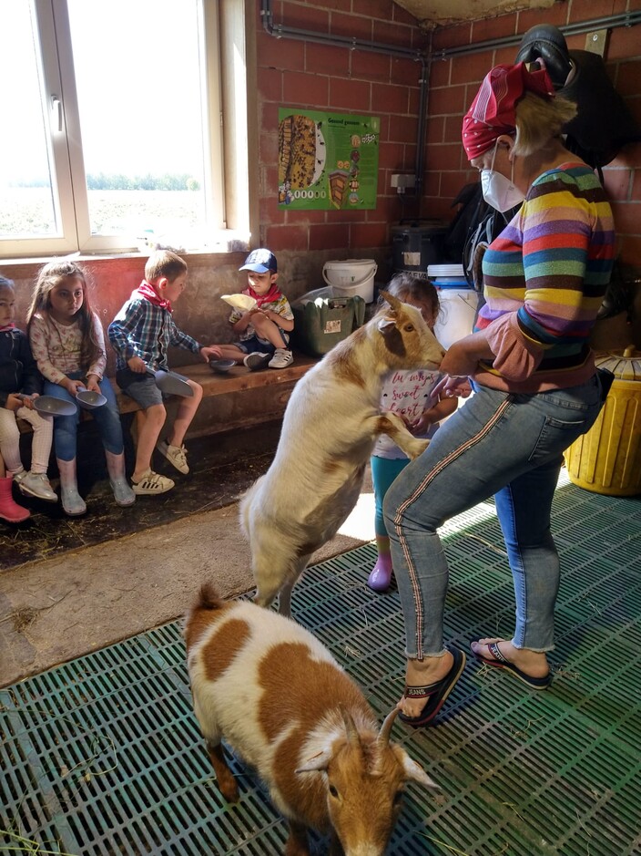 Uitstap naar de boerderij