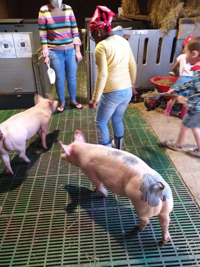 Uitstap naar de boerderij