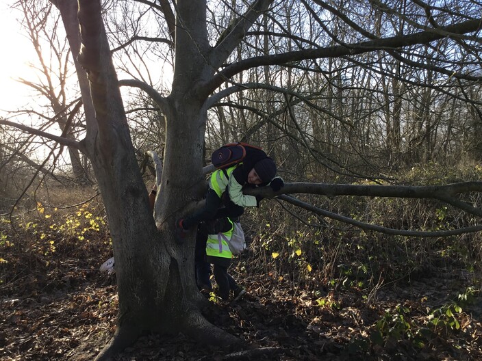 Winterwandeling Bourgoyen