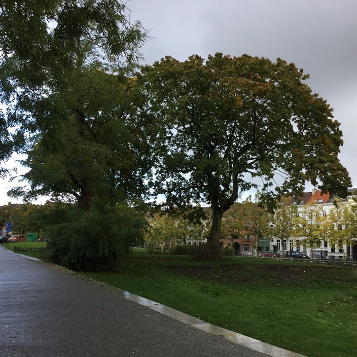 herfstwandeling