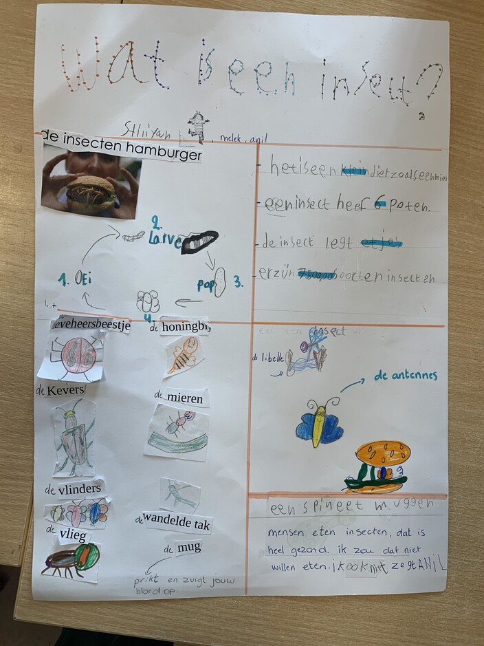 Project Stiliyan: Wat is een insect?