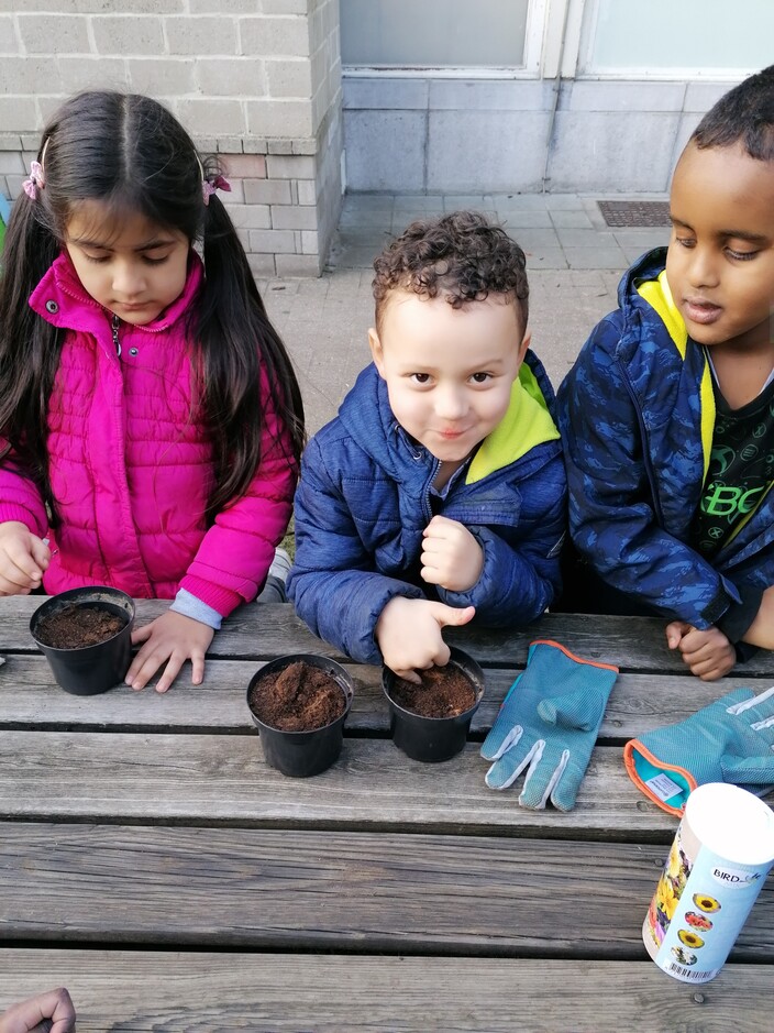 Zaaien en planten