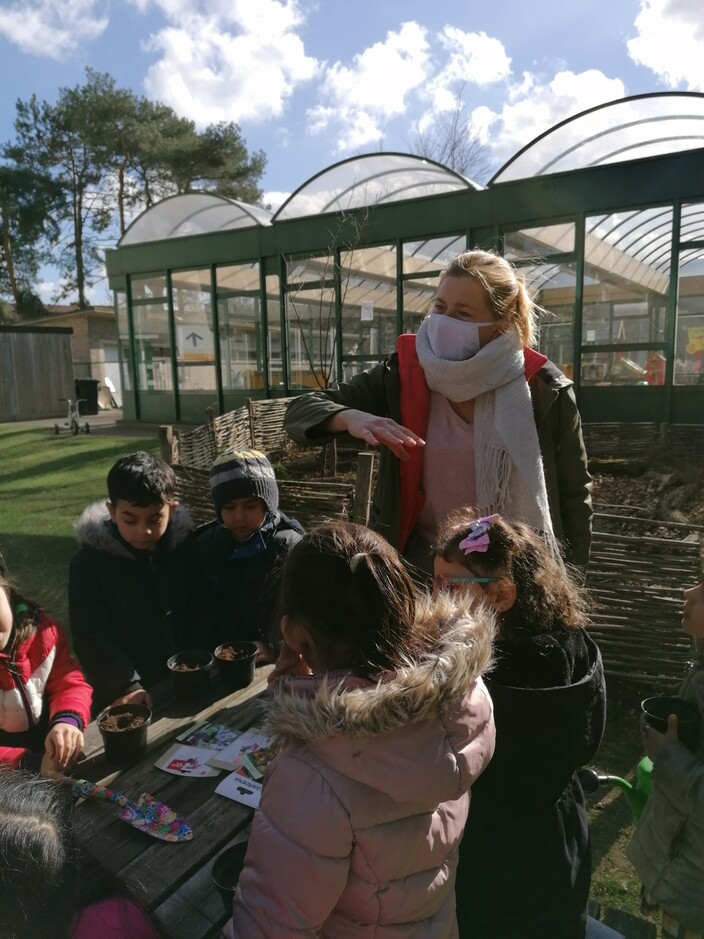 Zaaien en planten