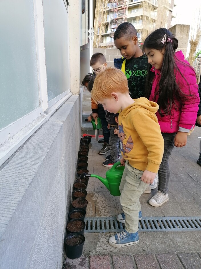 Zaaien en planten