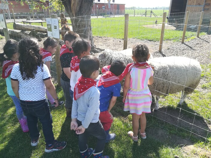 Uitstap naar de boerderij