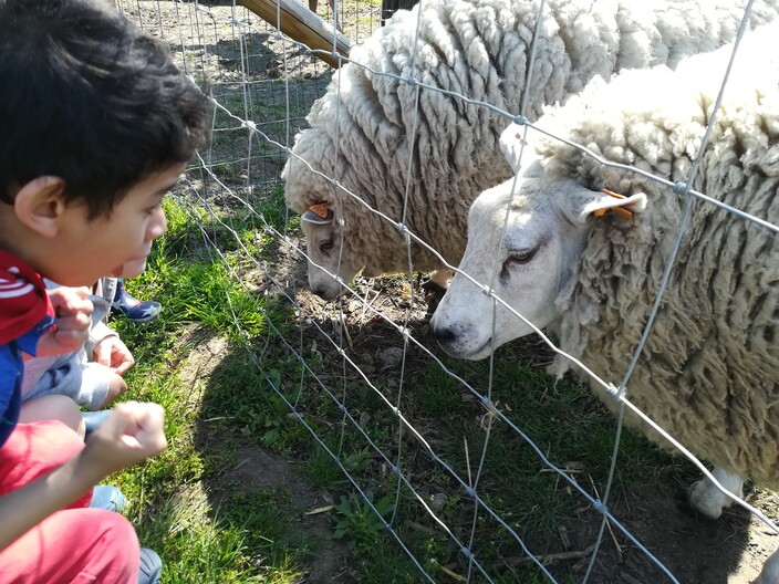 Uitstap naar de boerderij