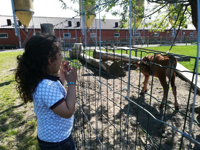 Uitstap naar de boerderij