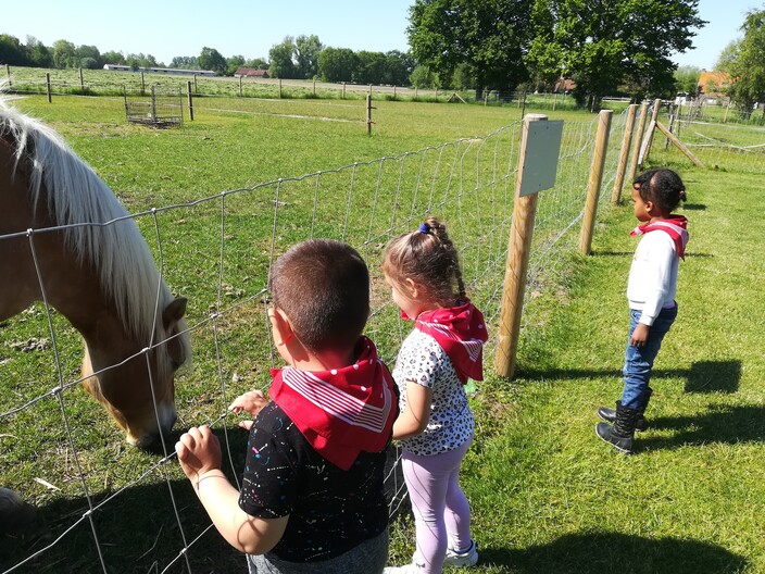 Uitstap naar de boerderij