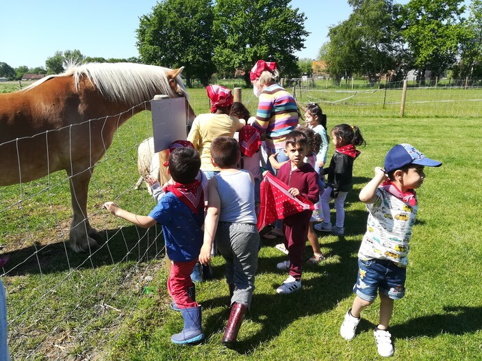 Uitstap naar de boerderij