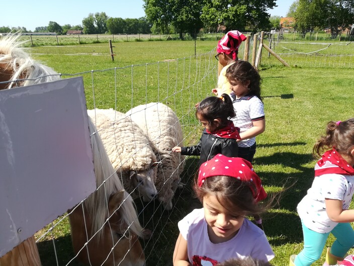 Uitstap naar de boerderij