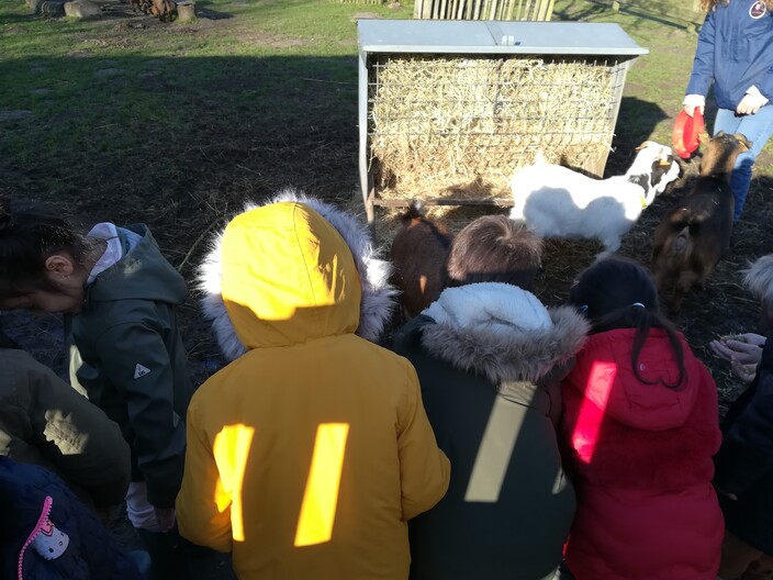 Naar de boerderij