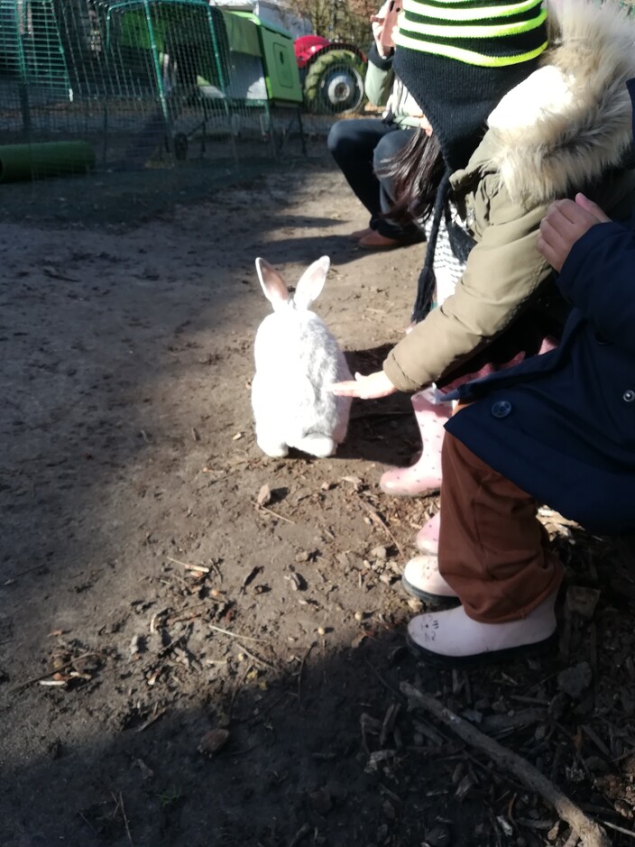 Naar de boerderij