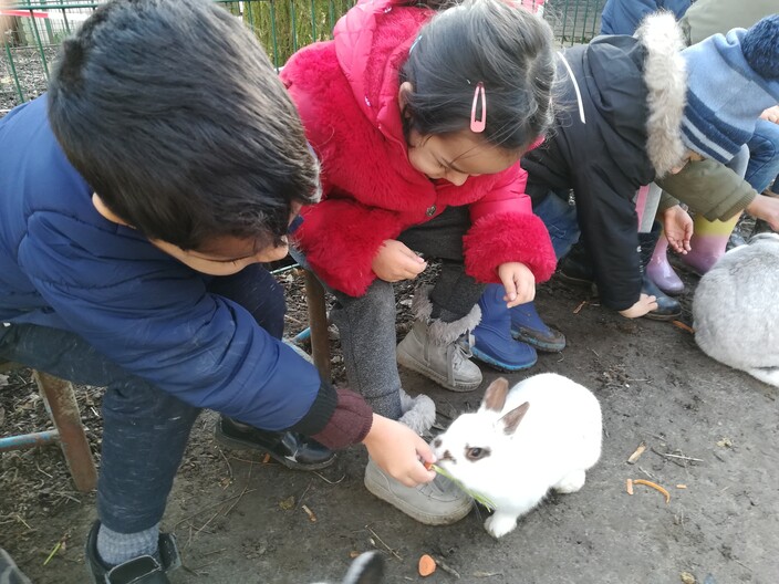 Naar de boerderij