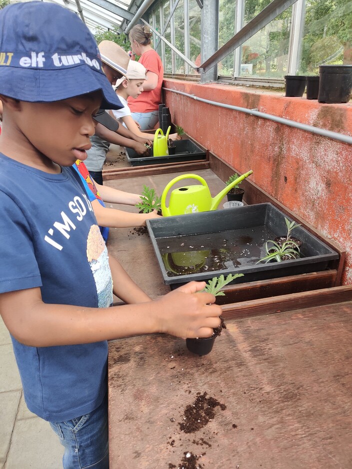 Planten stekken 