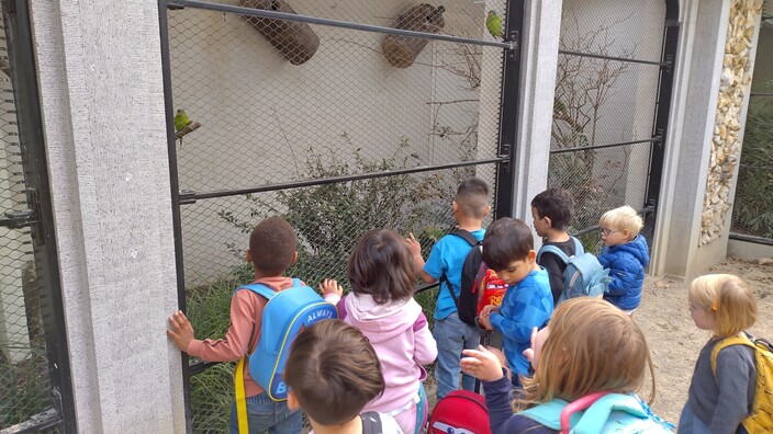 op stap in de dierentuin!