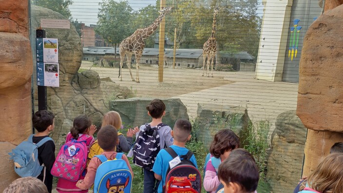 op stap in de dierentuin!