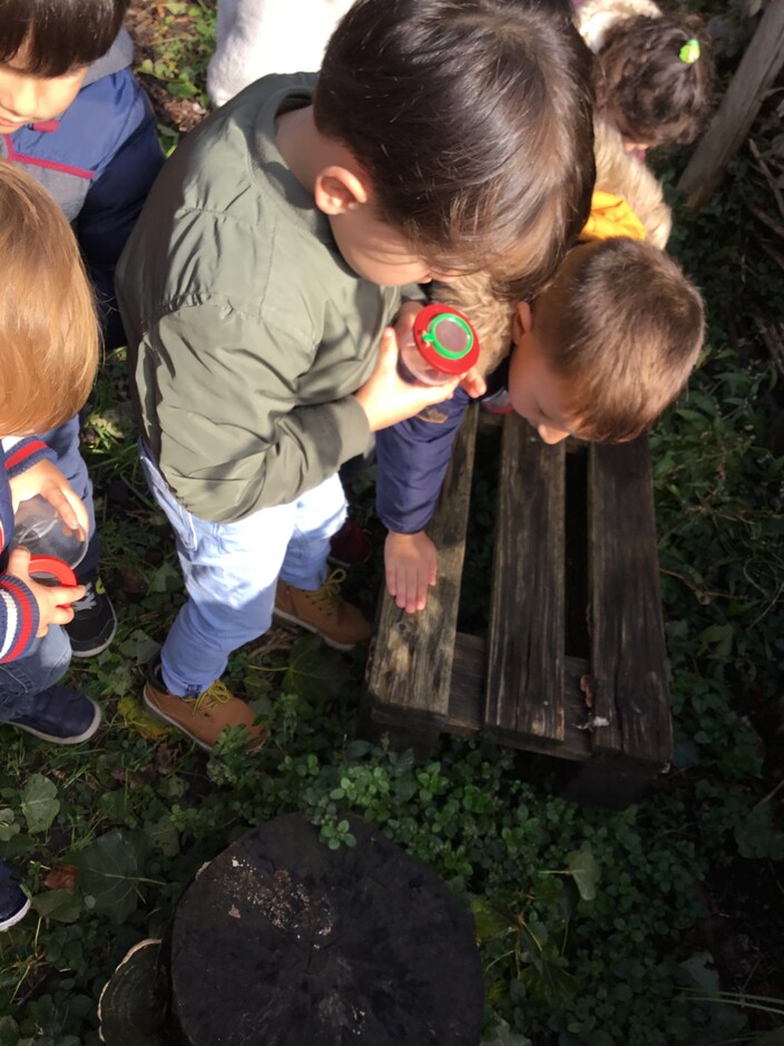 op zoek in de tuin