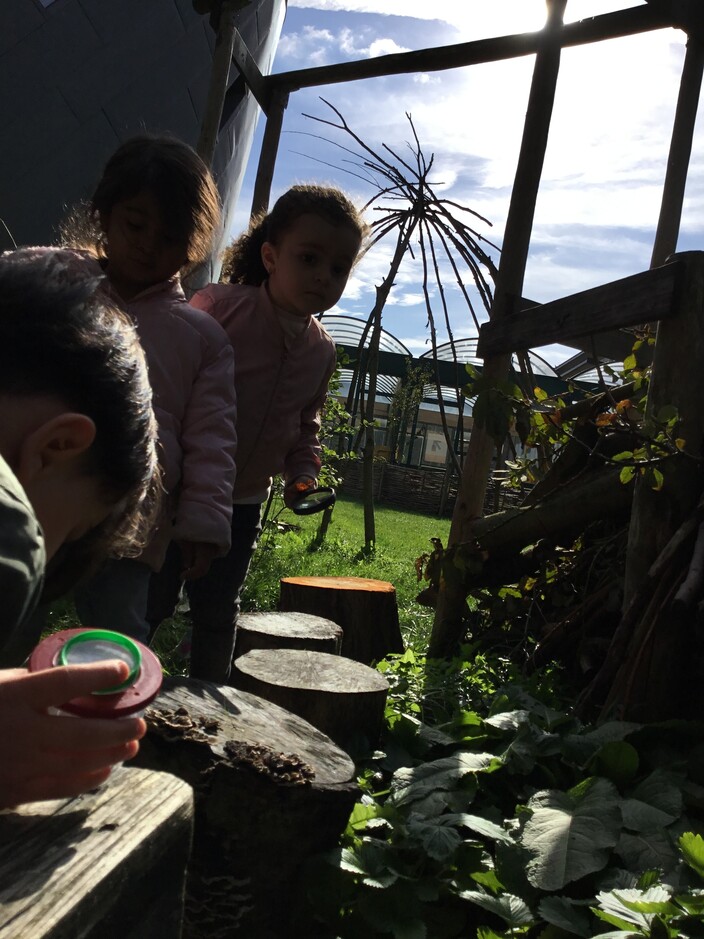 op zoek in de tuin