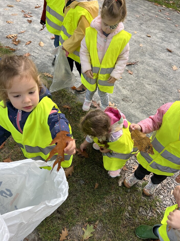 Herfstmaterialen zoeken.