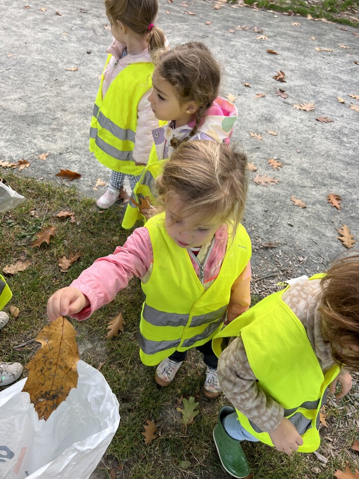 Herfstmaterialen zoeken.