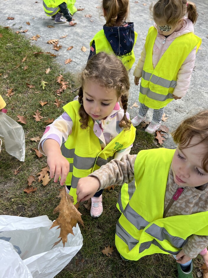 Herfstmaterialen zoeken.