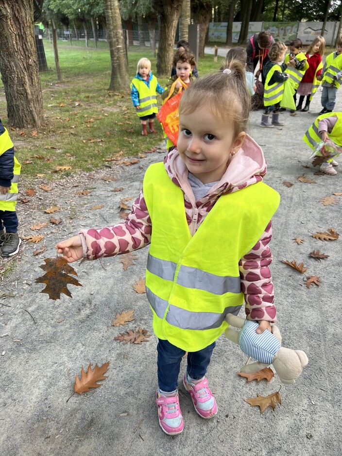 Herfstmaterialen zoeken.