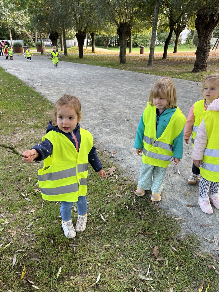 Herfstmaterialen zoeken.