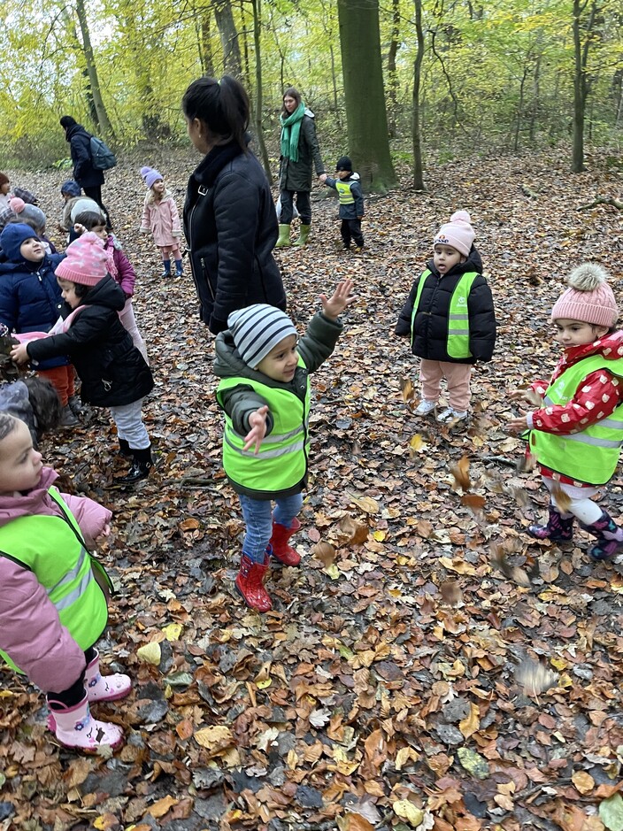 Samen naar het bos