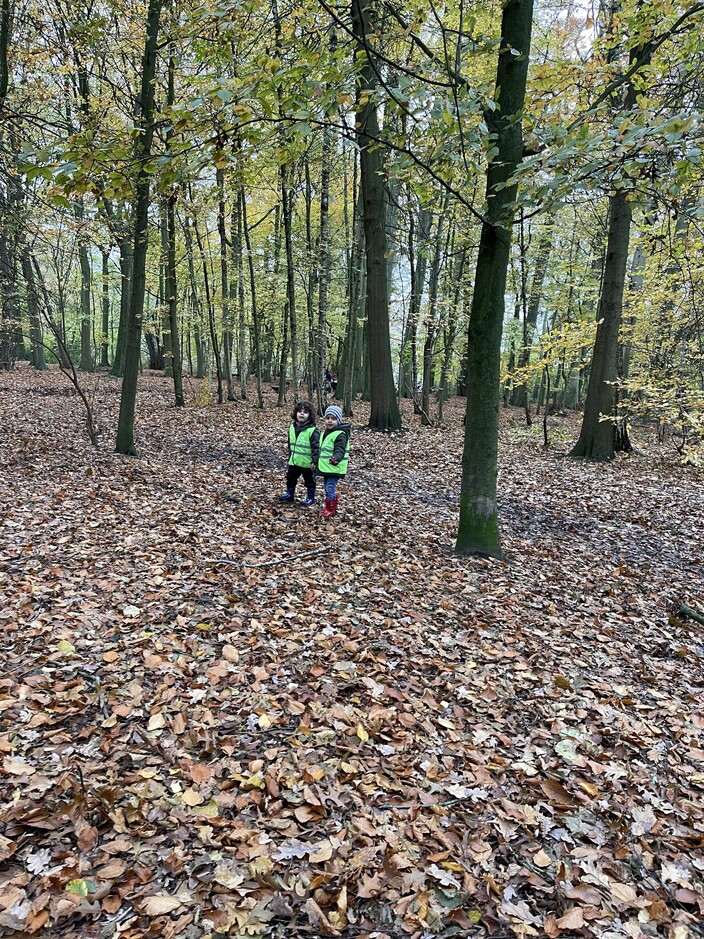 Samen naar het bos