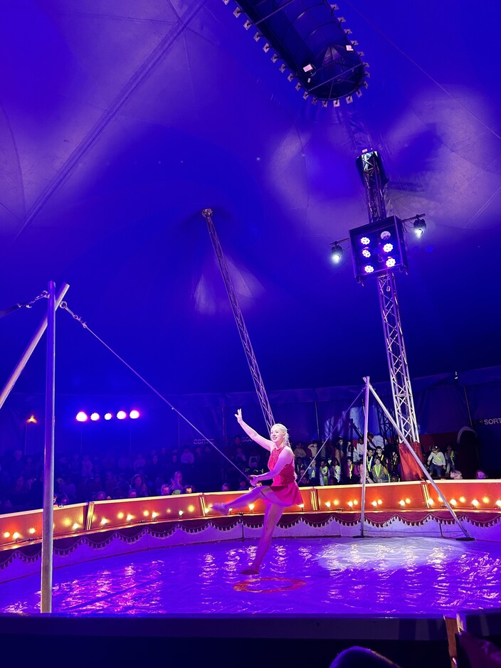 Uitstap naar Circus Pippo