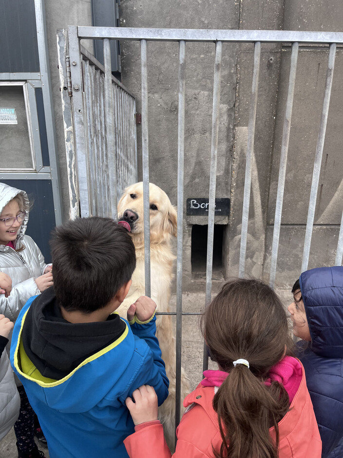 Op uitstap naar de boerderij