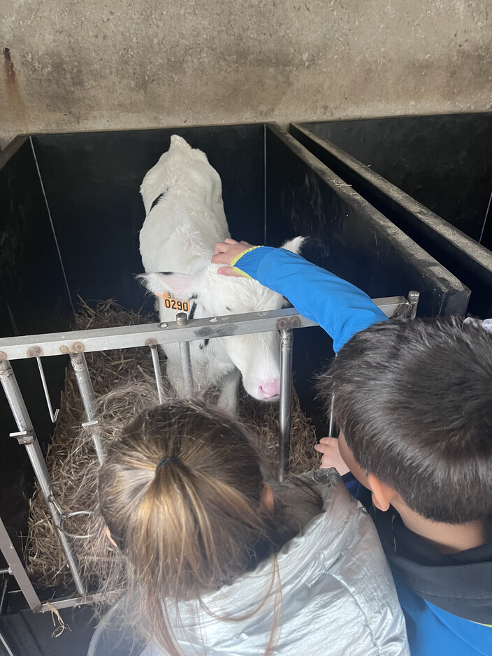 Op uitstap naar de boerderij