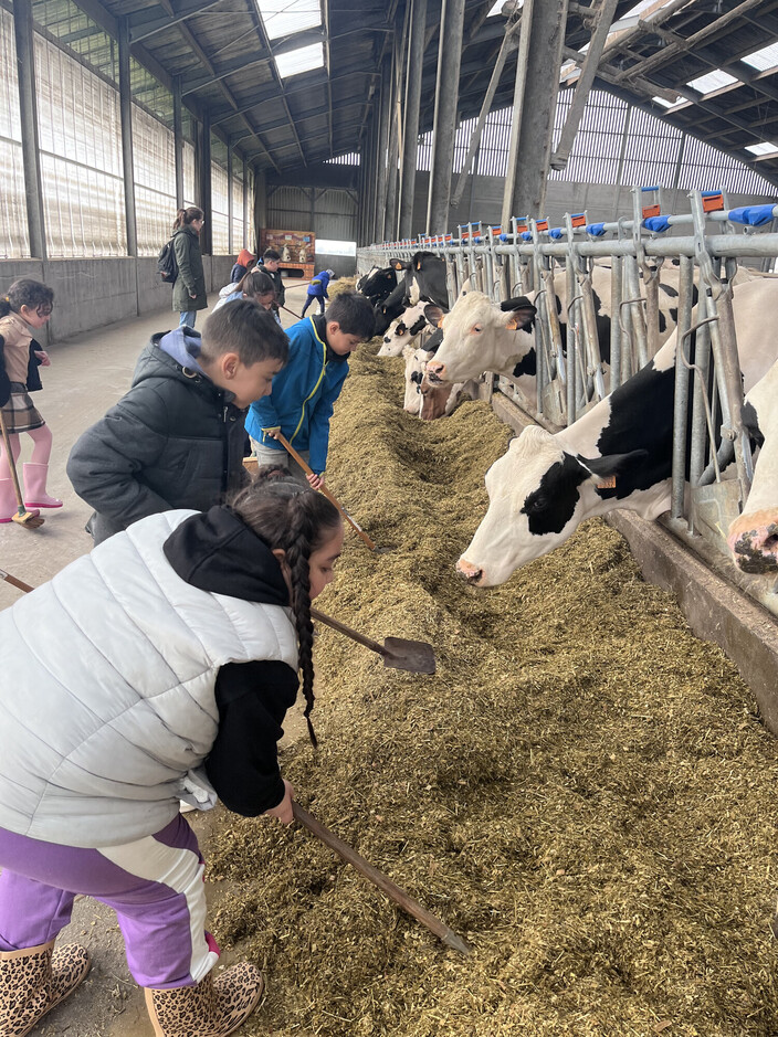 Op uitstap naar de boerderij