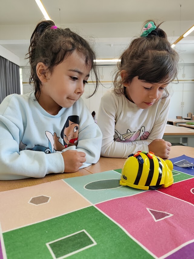 Werken met de beebots