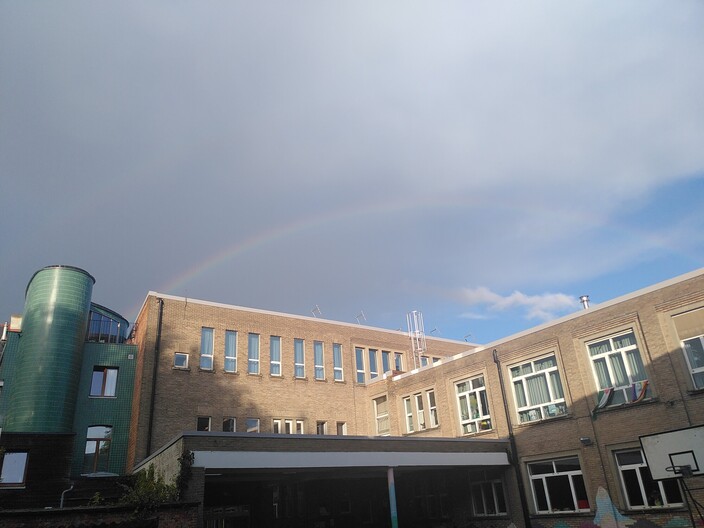 Regenboog