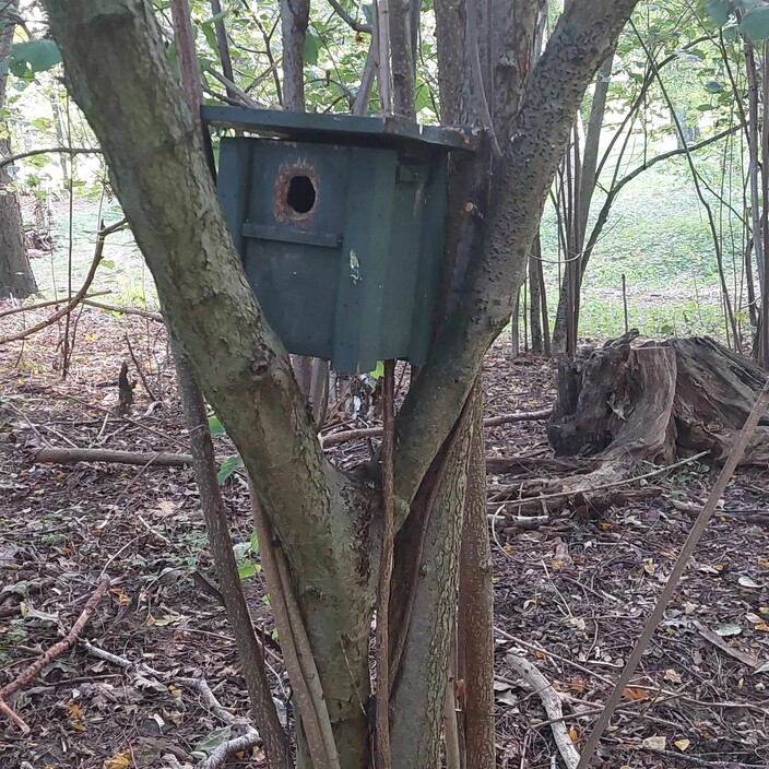 En dan... weer naar school. Zou dit een klasje van de vogel zijn?