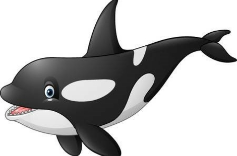 logo orka